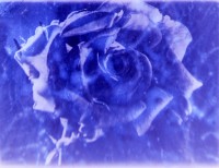 http://portal.benivuula.com/files/gimgs/th-137_neverdrive web-3.jpg